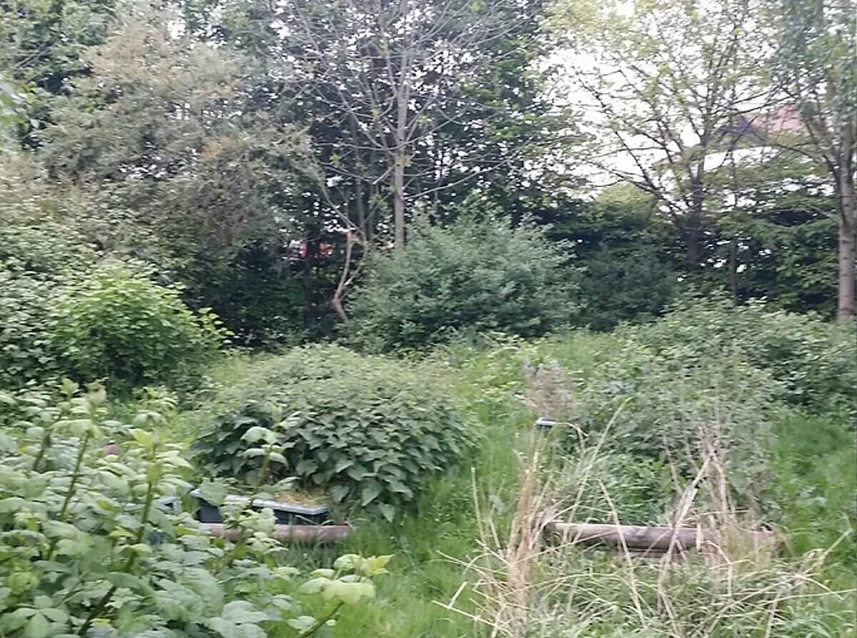 East London Peace Garden