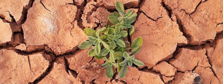 Standing on the shoulders of giants